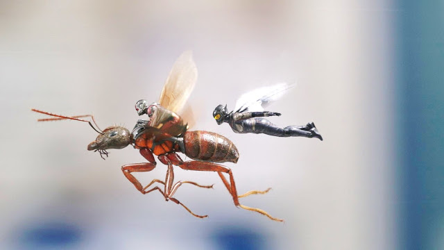 download ant man and the wasp torrent hindi